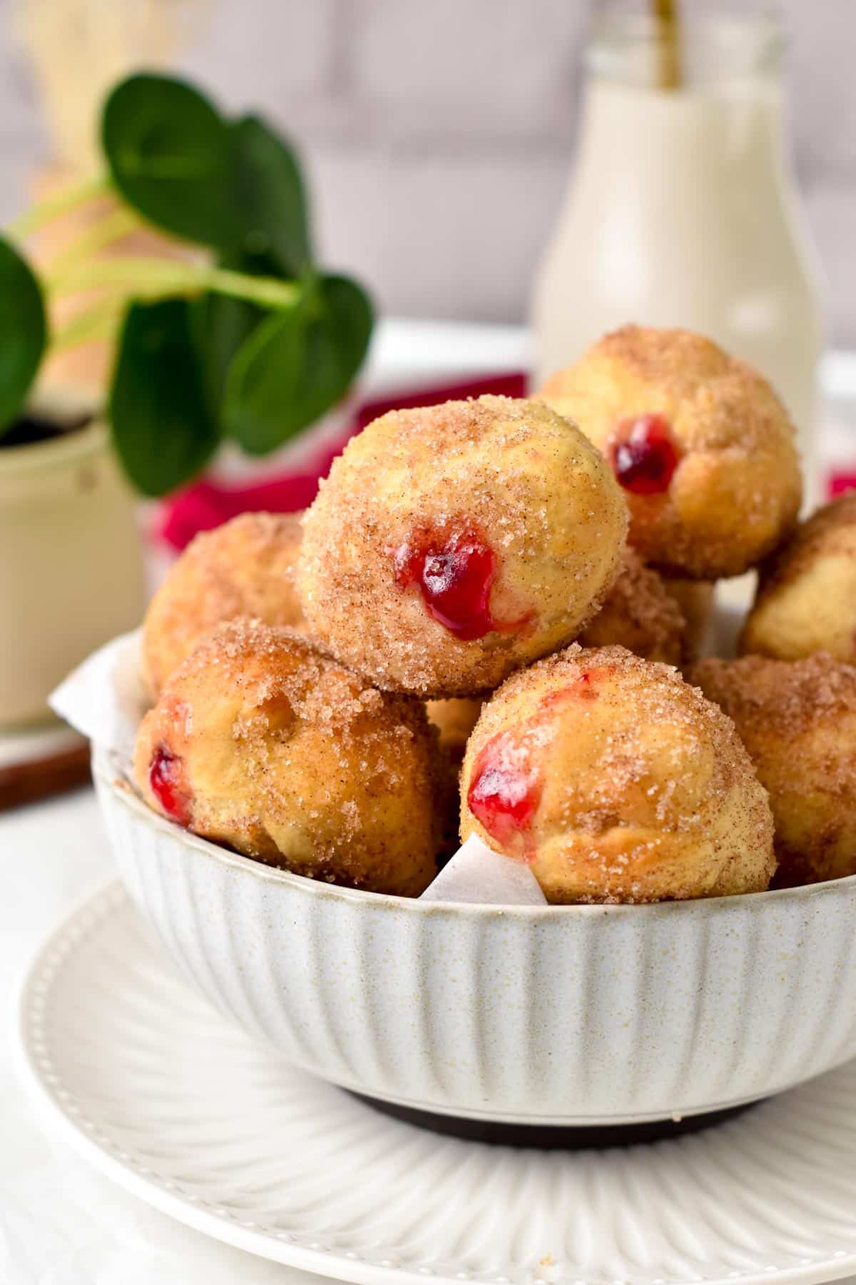 A bowl filled with jelly filled donut holes coated with cinnamon sugar and a green plant in the background.