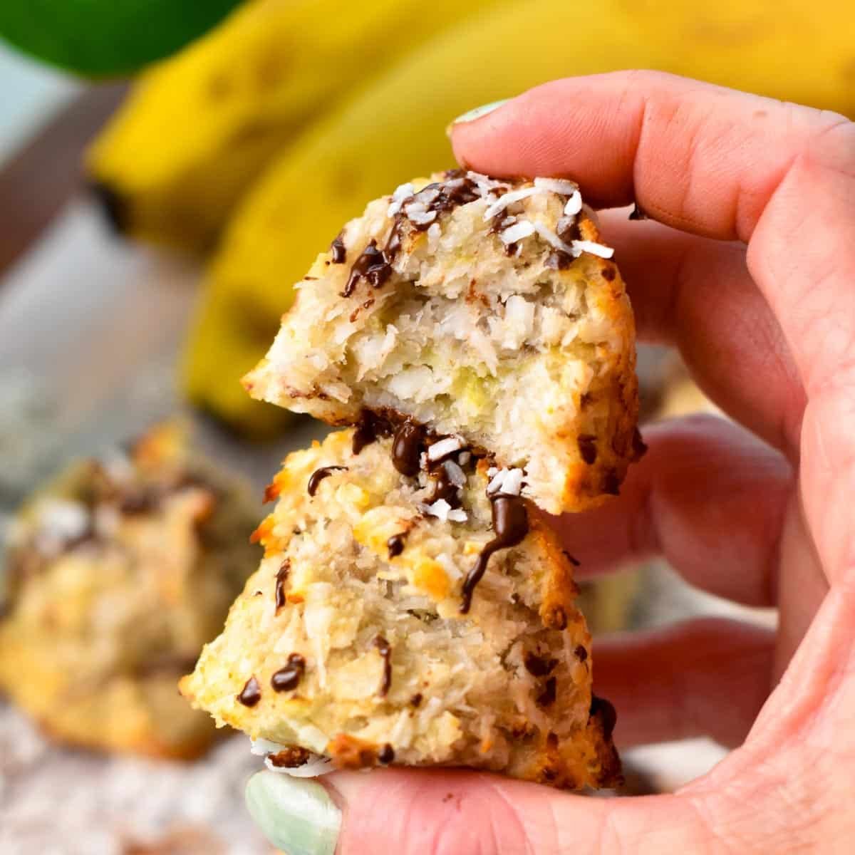 a hand holding two Coconut Banana Cookies with chocolate drizzle on to, stacked together with the one on top half eaten showing the texture inside