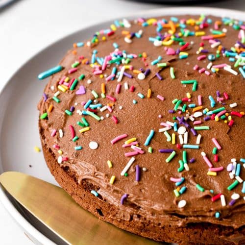 Protein Cake Recipe - 21