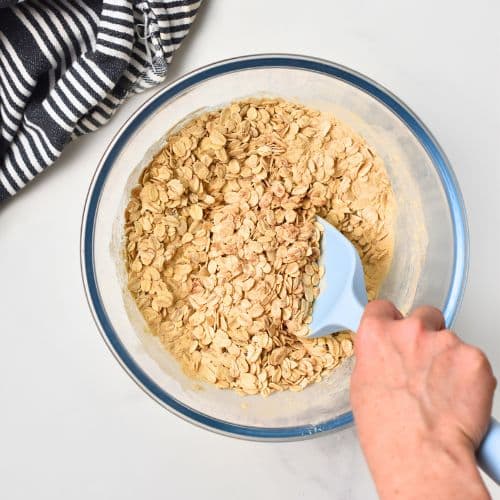 Mixing dry Protein Oatmeal Cookies ingredients in a mixing bowl.