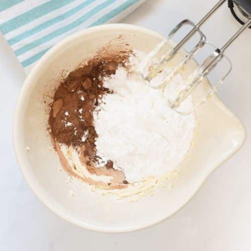 Adding cocoa powder, powdered sugar to the beaten vegan butter in a mixing bowl.