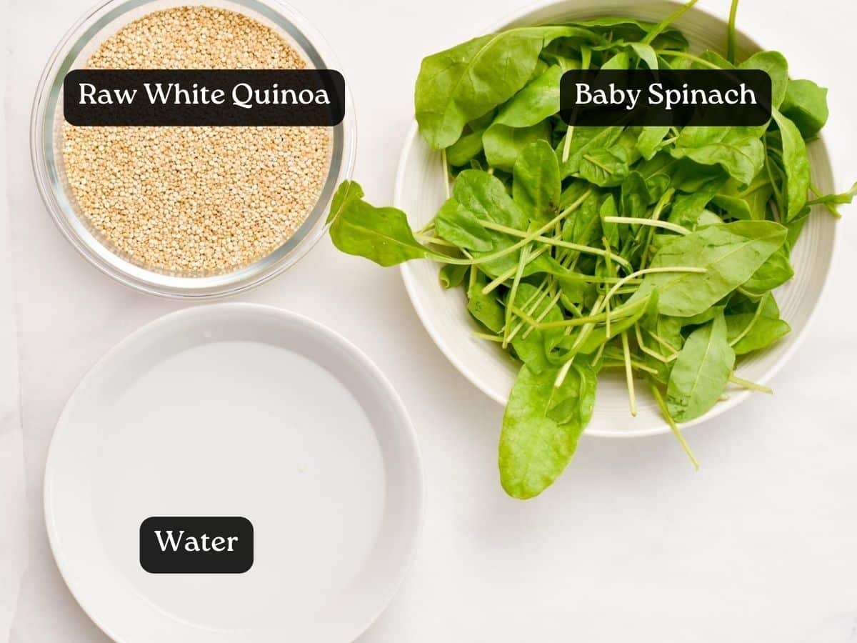 Three bowls with all the gluten-free spinach tortilla ingredients: a bowl with fresh baby spinach, a bowl with water and a bowl with raw white quinoa