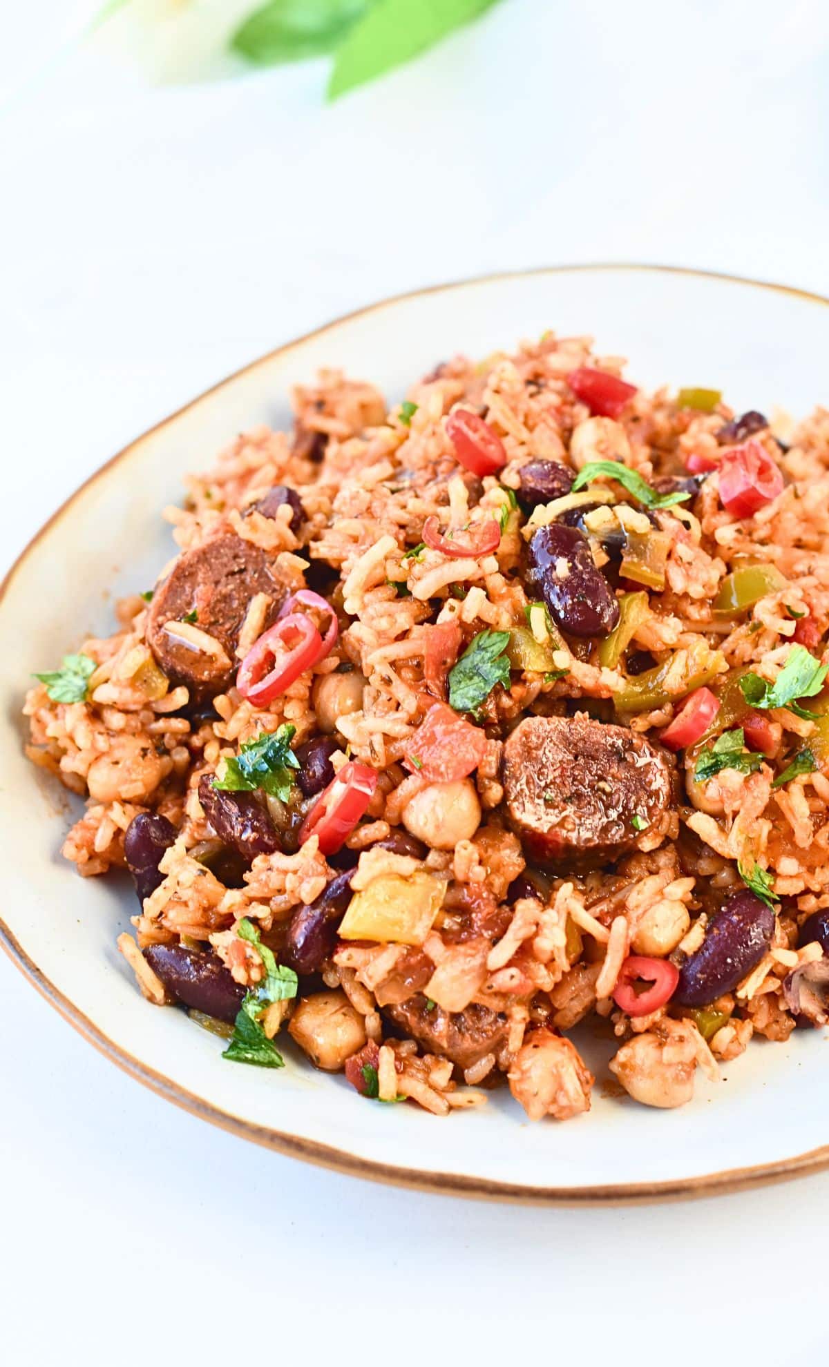 Vegan jambalaya in a large plate.
