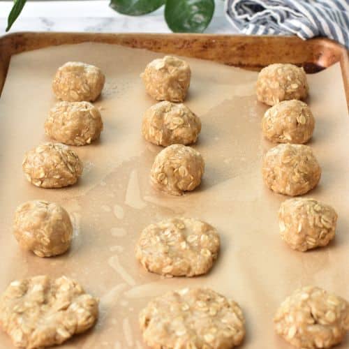 Anzac biscuit balls on a cooking sheet with some flattened.