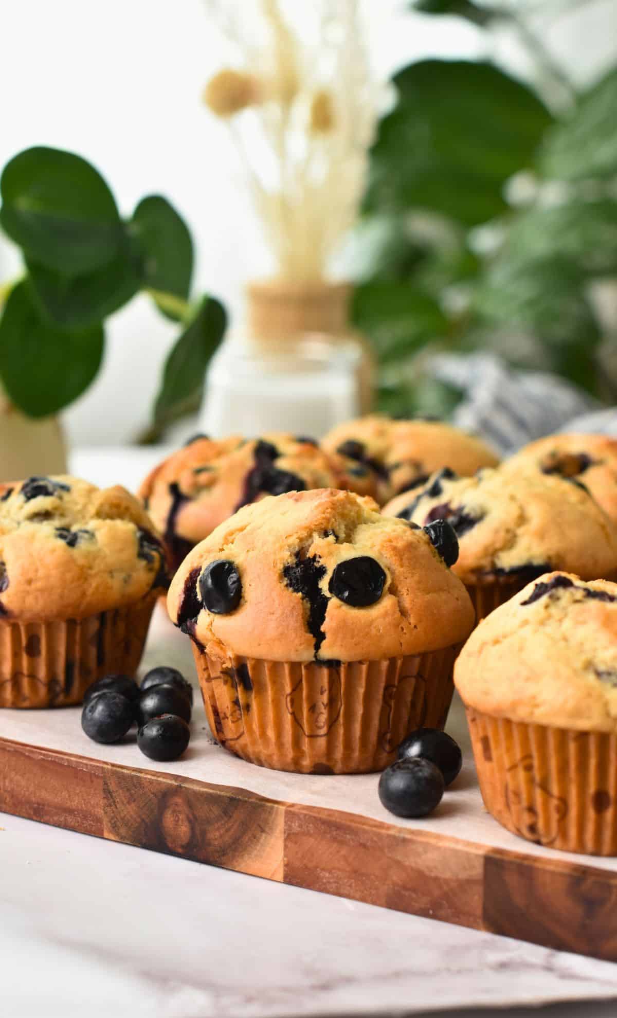 Vegan Blueberry Muffins on a wooden board.