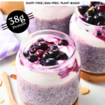 Blueberry Protein Overnight Oats