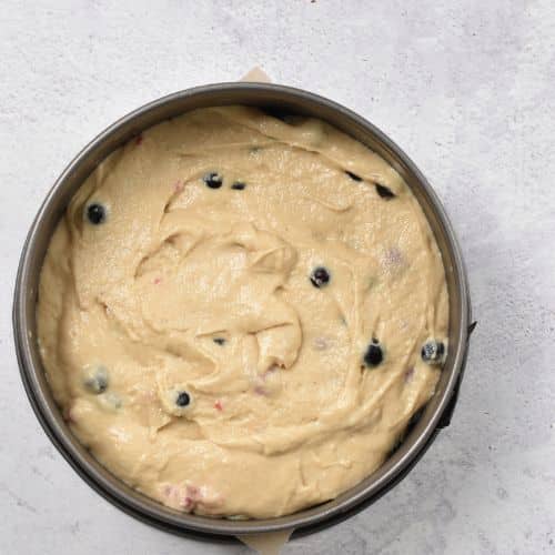 Yogurt Berry Cake batter in a springform pan.