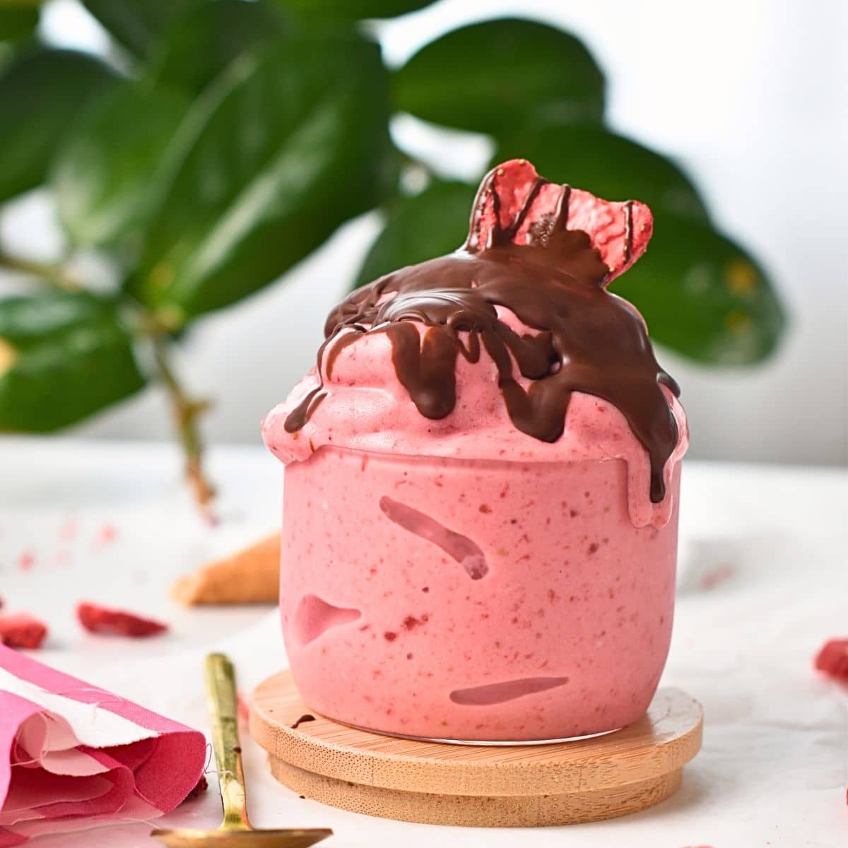 Strawberry Frozen Yogurt