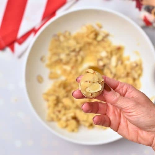Rolled Almond Christmas Cookie dough ball.