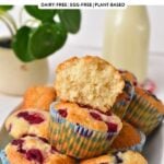 Yogurt Muffins