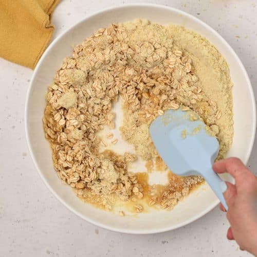 Stirring Lemon Oatmeal Cookie ingredients.