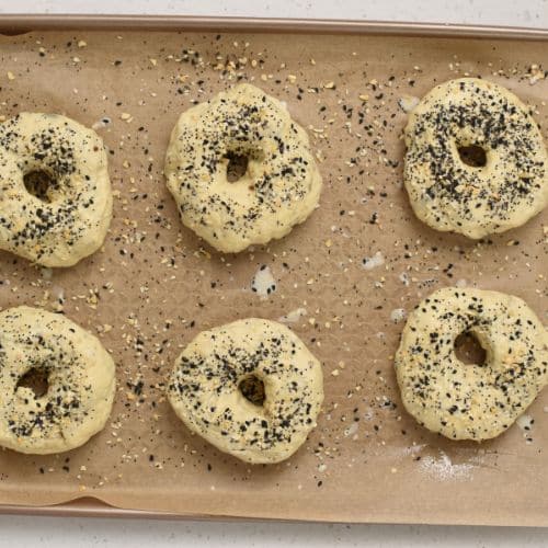 Protein Bagels ready to bake.