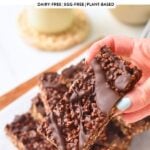 Protein Crisp Bars