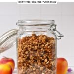 Apple Granola