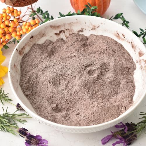 Chocolate Pumpkin Muffins