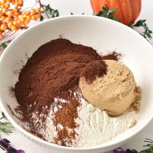 Chocolate Pumpkin Muffins