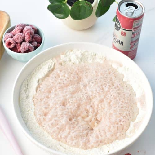 Kombucha Cake